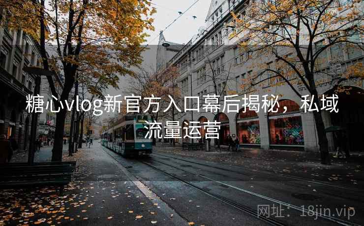 糖心vlog新官方入口幕后揭秘，私域流量运营
