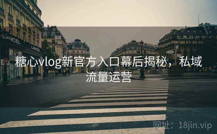 糖心vlog新官方入口幕后揭秘，私域流量运营